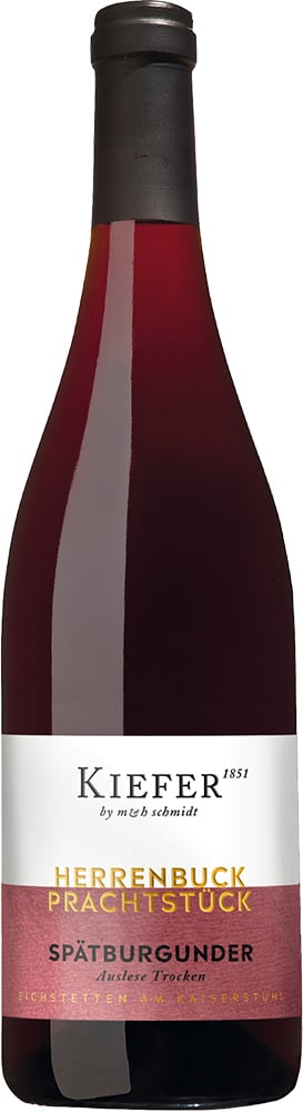 2020 Spätburgunder Rotwein Auslese Prachtstück