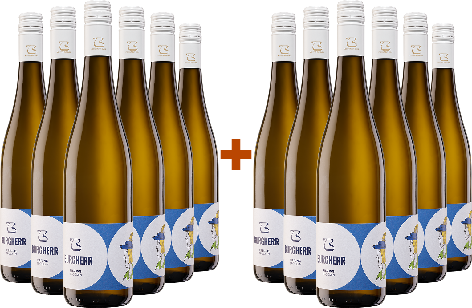 6+6 paket Burgherr Riesling
