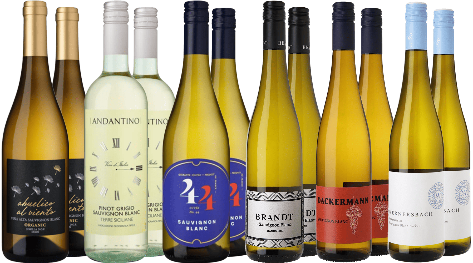 Großes Sauvignon Blanc Reise