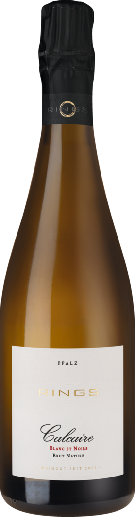 2020 Calcaire Blanc et Noirs Sekt BIO