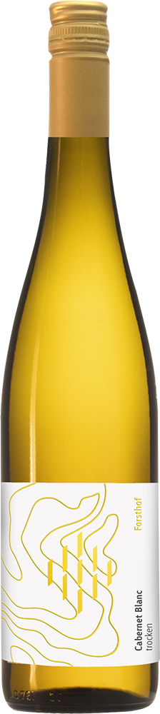 2025 Cabernet Blanc BIO