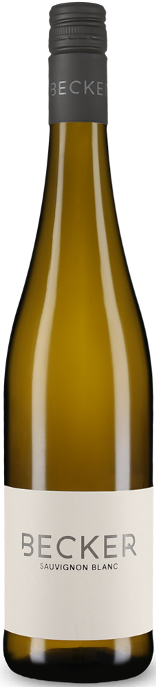 2025 Sauvignon Blanc Gutswein
