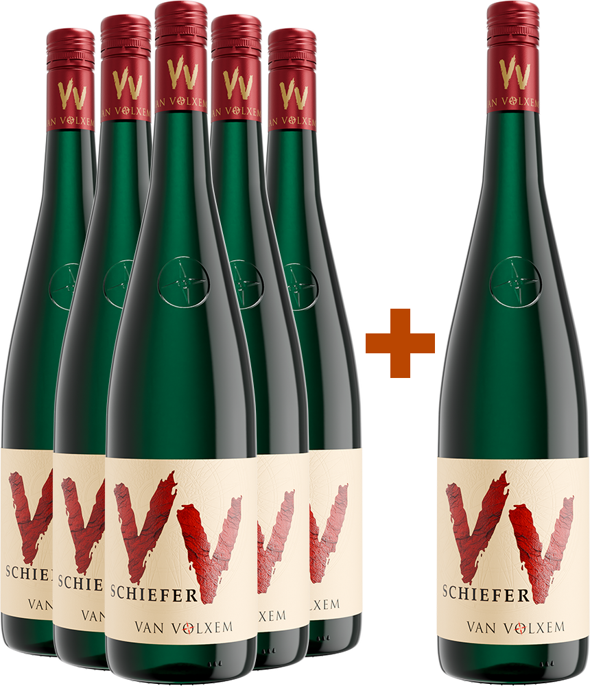 5+1 Paket VV Schiefer