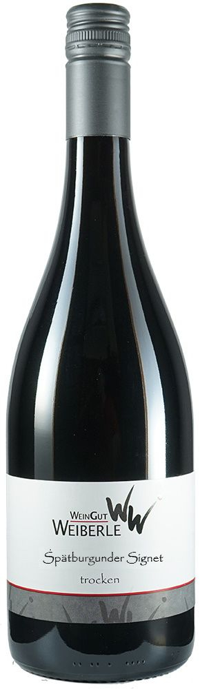 2021 Signet Spätburgunder