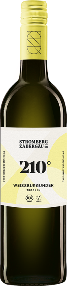 2024 210° Erkundung Weißburgunder BIO