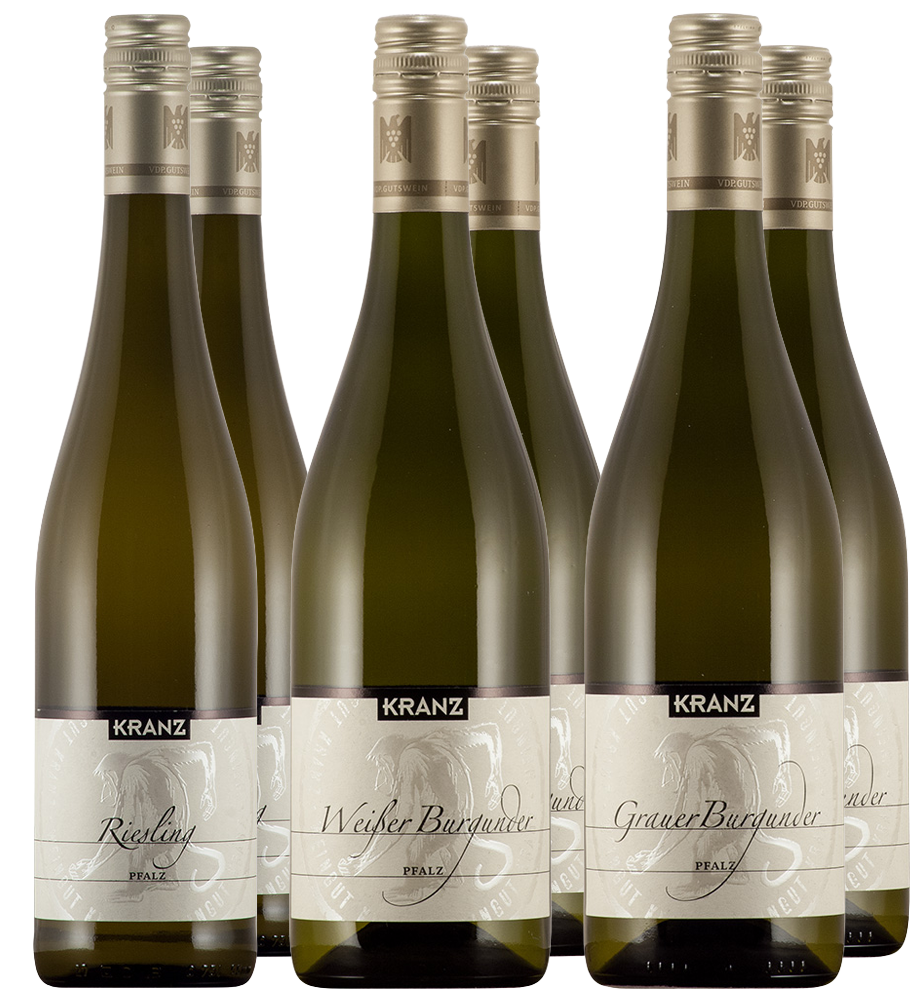 Weißwein Paket BIO