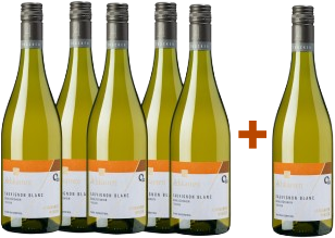 5+1 Achkarrer Winzer Sauvignon Blanc QbA trocken