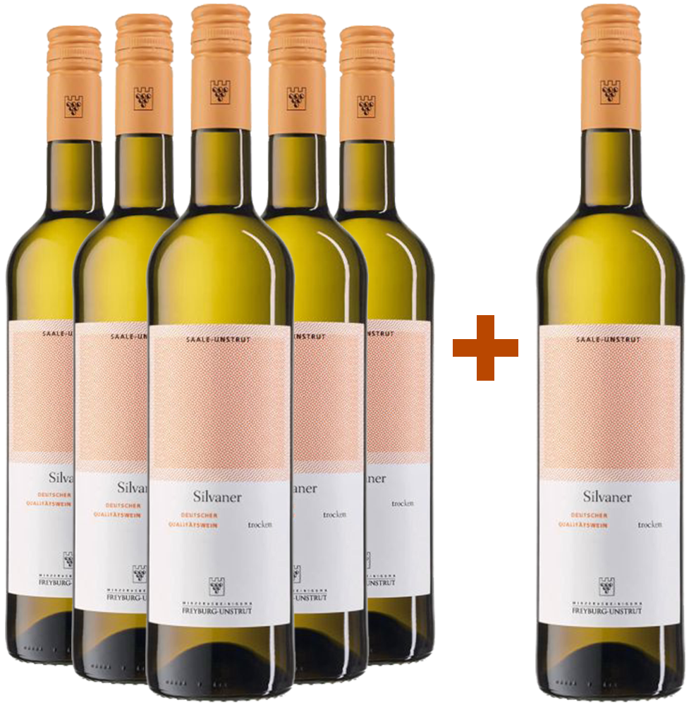 5+1 Silvaner DQW