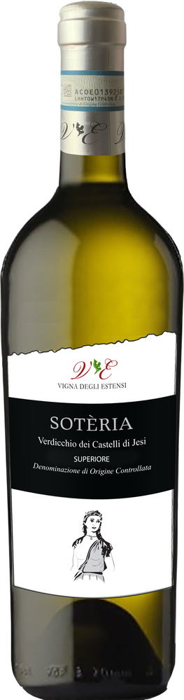 2025 Soteria Verdicchio dei Castelli di Jesi Superiore DOC BIO