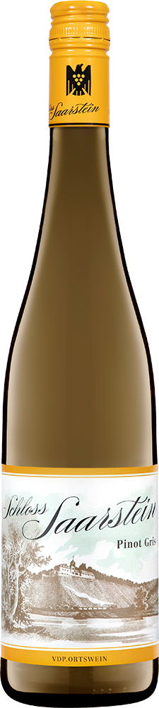 2025 Schloss Saarstein Pinot Gris Ortswein