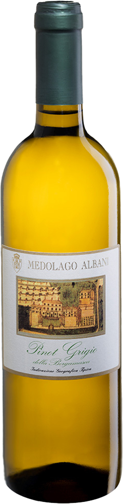 2025 Pinot Grigio della Bergamasca IGP