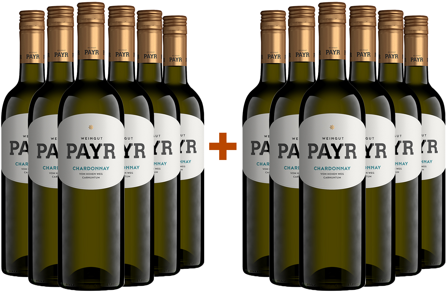 6+6 Paket Chardonnay vom Lehm Bio BIO