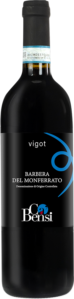 2023 Vigot Barbera del Monferrato DOC