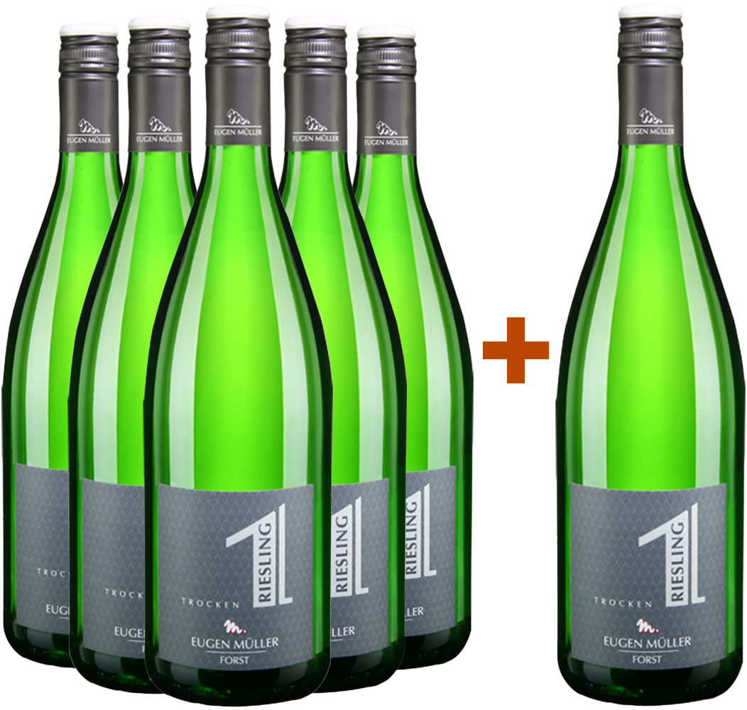 5+1 Paket Riesling trocken 1,0L