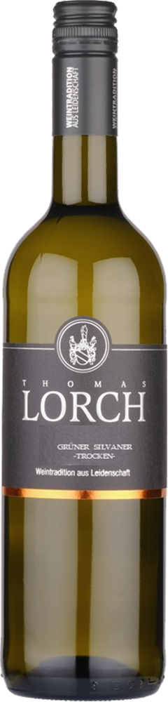 2024 Grüner Silvaner -trocken-