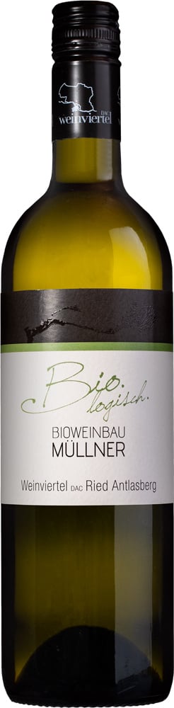 2024 Weinviertel DAC Antlasbergen BIO