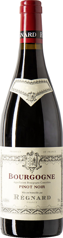 2024 Pinot Noir Bourgogne AOP