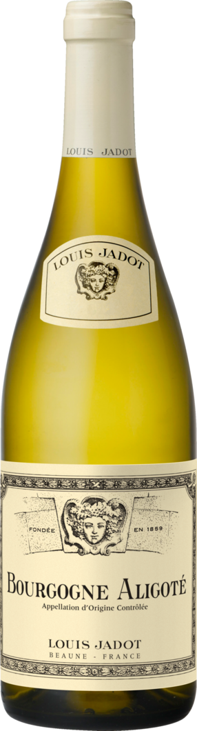 2025 Louis Jadot Aligoté