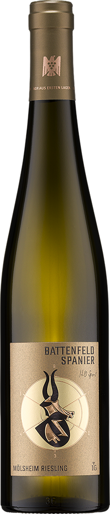 2025 MÖLSHEIM Riesling 1G - Aus Ersten Lagen BIO