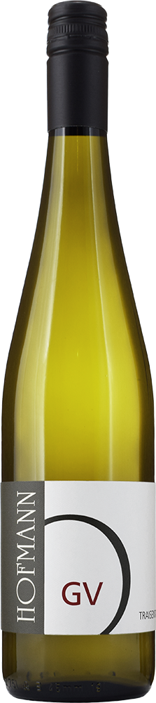 2024 Grüner Veltliner Oberndorf BIO