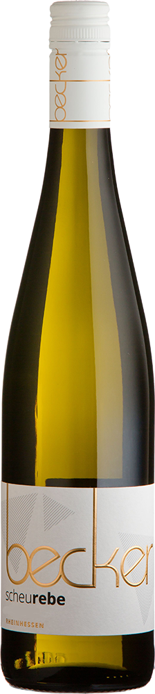 2025 SCHEUREBE