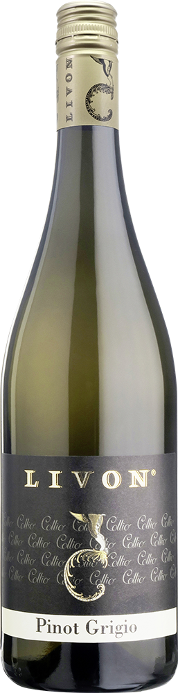 2024 Pinot Grigio Collio DOC