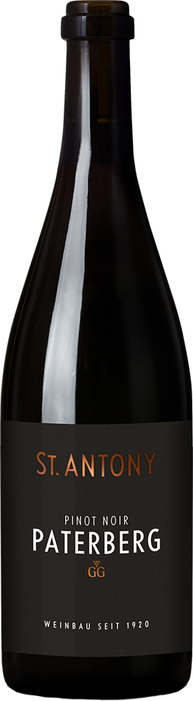 2022 Nierstein Paterberg Pinot Noir VDP.Großes Gewächs BIO