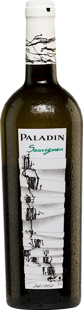 2024 Sauvignon Trevenezie IGP