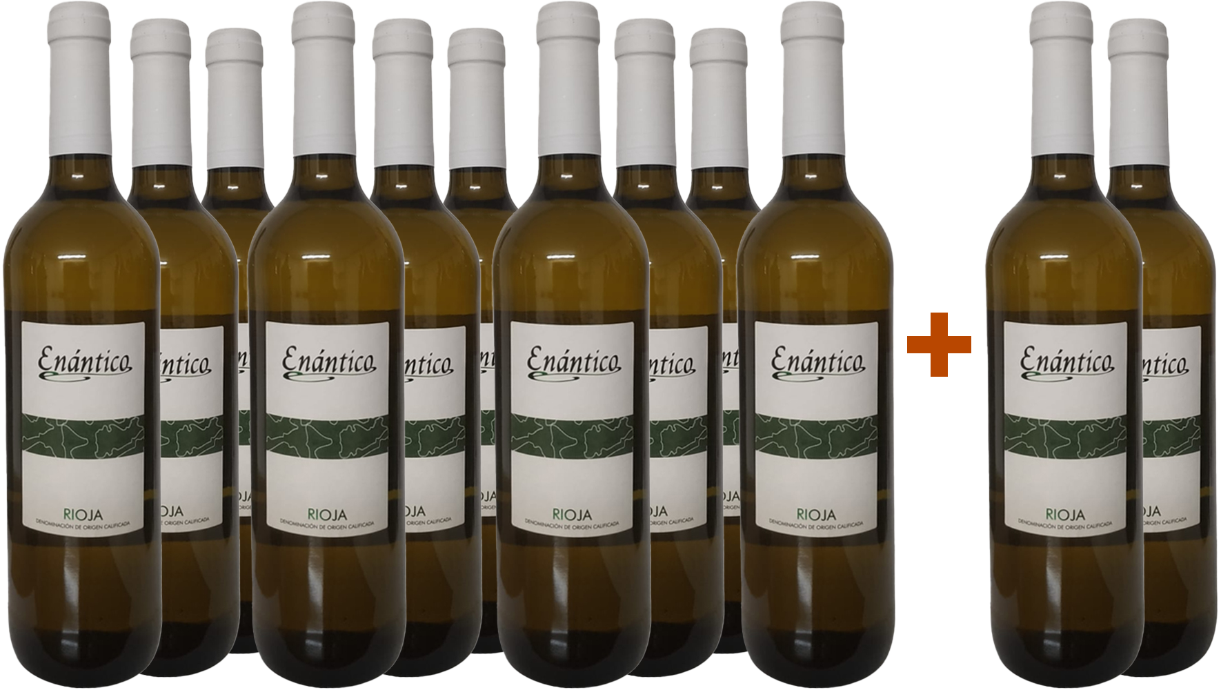 10+2 Aktionspaket Enántico Blanco Viura Rioja DOCa