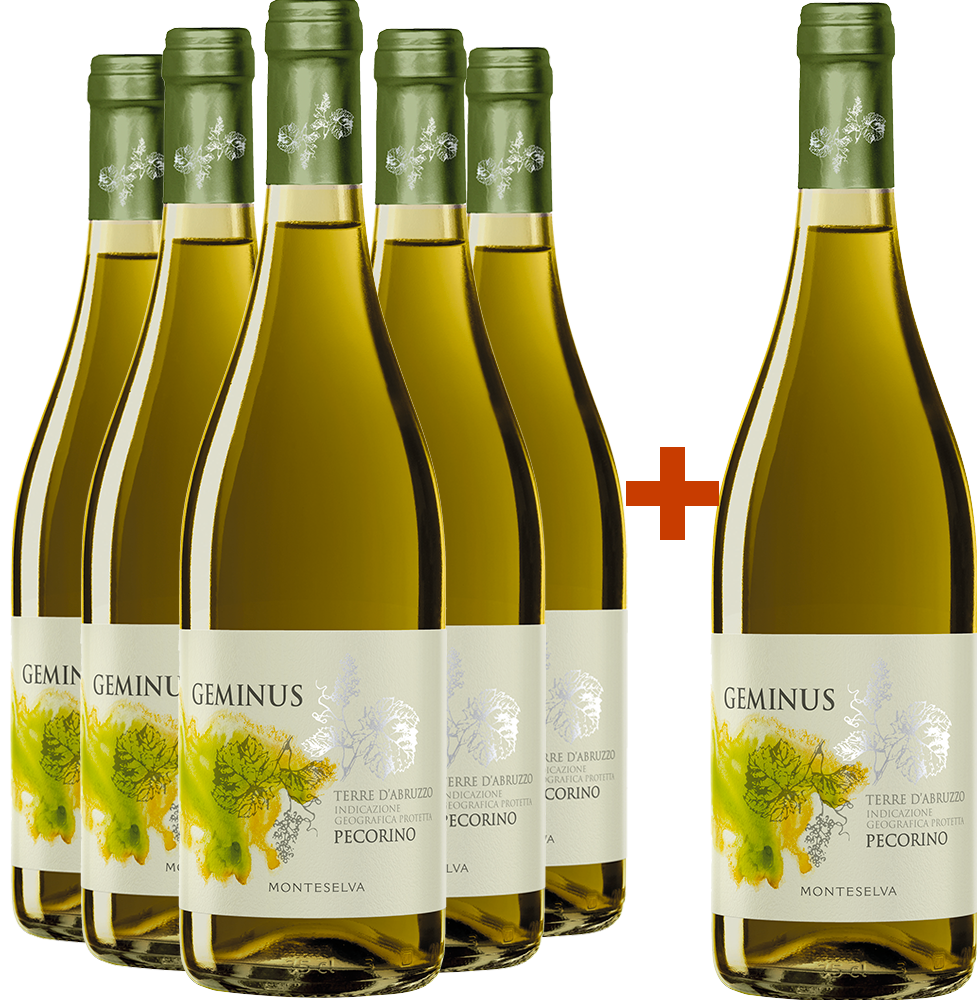 5+1 Paket Geminus Pecorino Terre d'Abruzzo IGP