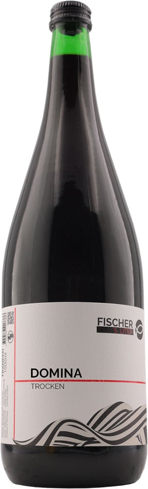 2023 Domina 1,0 L