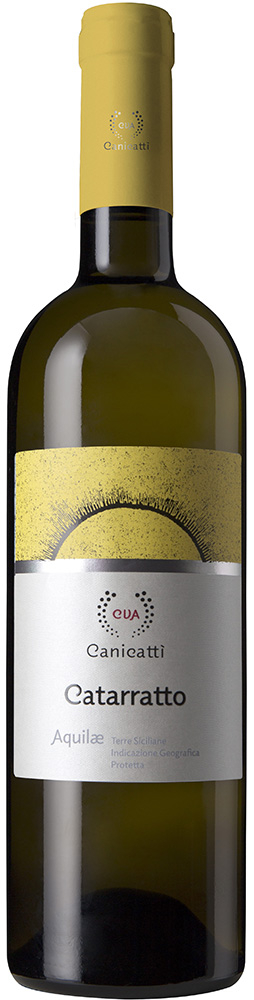 2024 Aquilae Catarratto Terre Siciliane IGP
