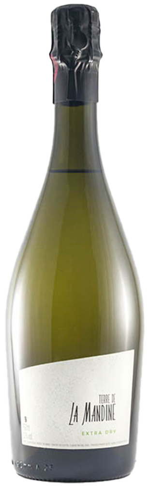 Terre de la Mandine