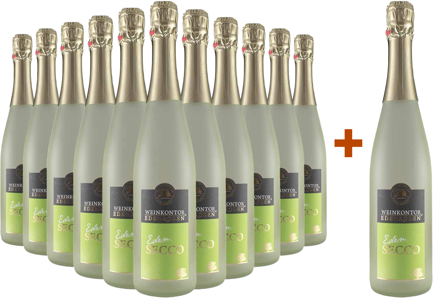 11+1 Paket "Eden" Secco weiß