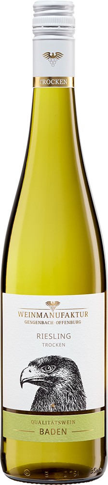 2025 Klingelberger Riesling