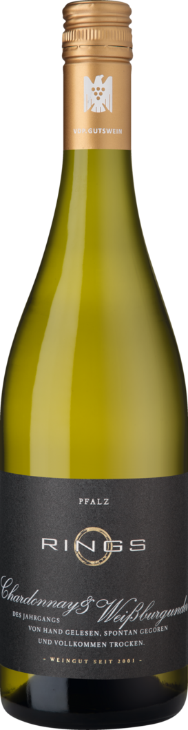 2025 Rings Chardonnay-Weißburgunder BIO