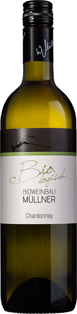 2025 Chardonnay BIO