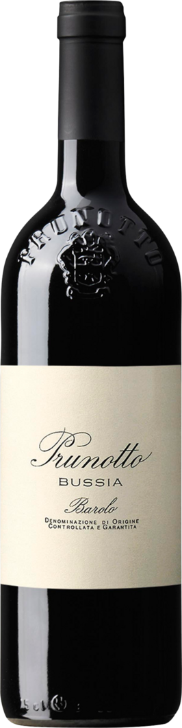 2004 Bussia Barolo