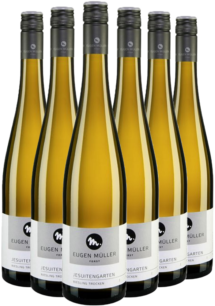 Paket Riesling "Jesuitengarten" trocken