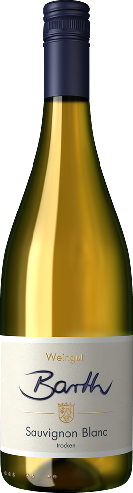 2025 Sauvignon Blanc