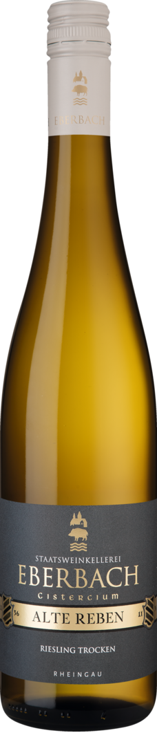 2025 Cistercium Riesling Alte Reben