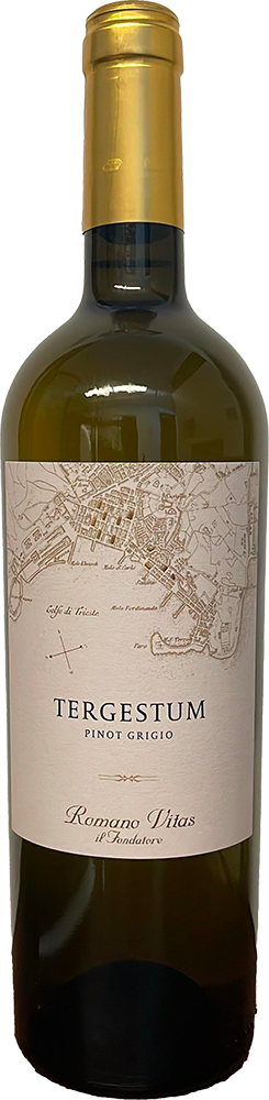 2023 Tergestum Pinot Grigio Friuli DOC