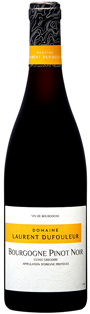2023 Pinot Noir boisé 'Cuvée Grégoire' Bourgogne AOP