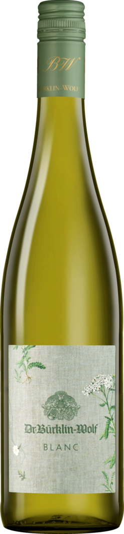 2024 Dr. Bürklin-Wolf Cuvée Blanc BIO