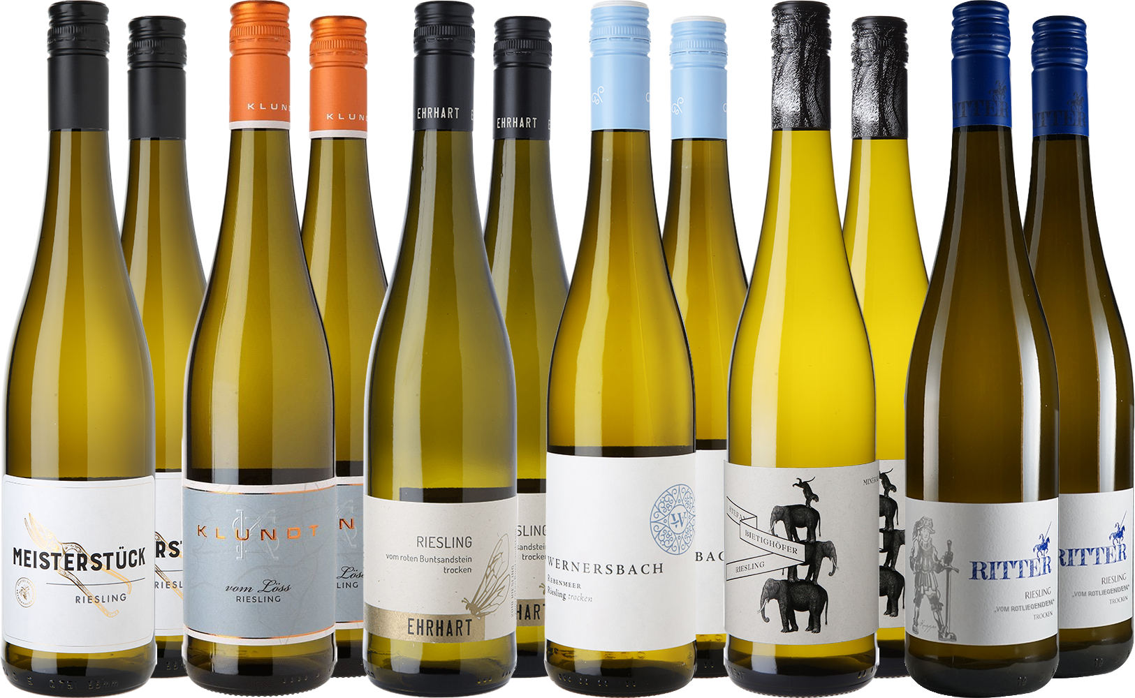Großes Riesling Entdecker-Paket