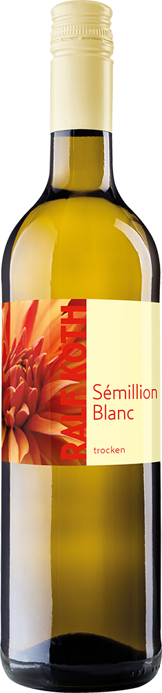 2025 Sémillon Blanc