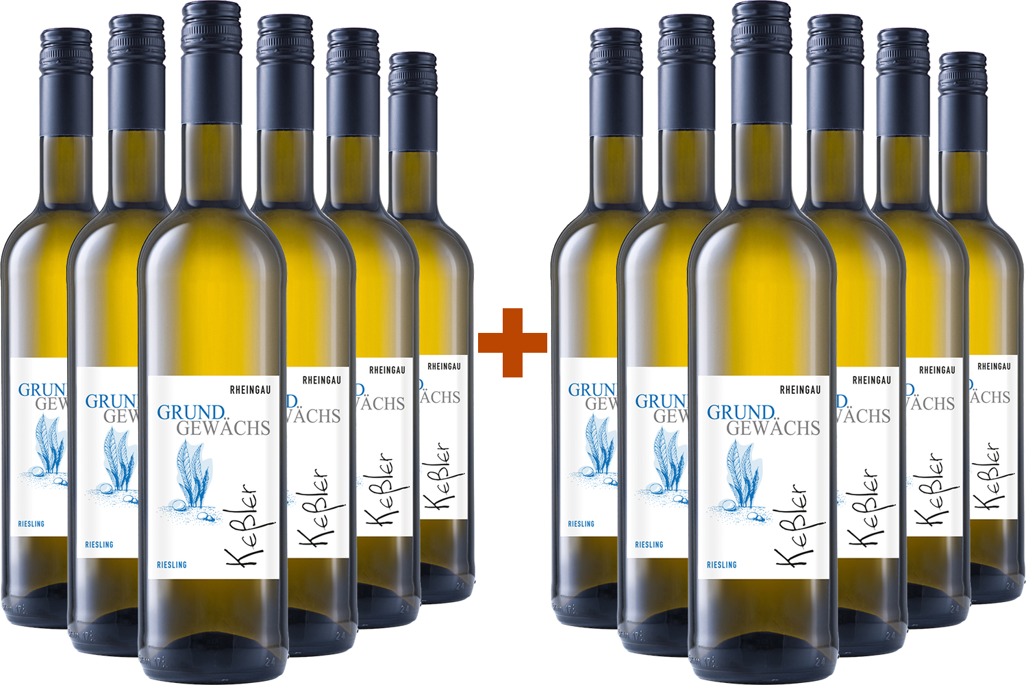 6+6 Paket Grundgewächs Hallgarten Riesling Kabinett trocken