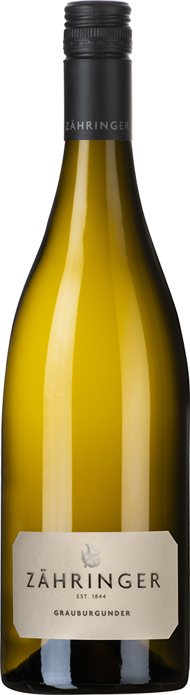 2024 Grauburgunder Gutswein BIO