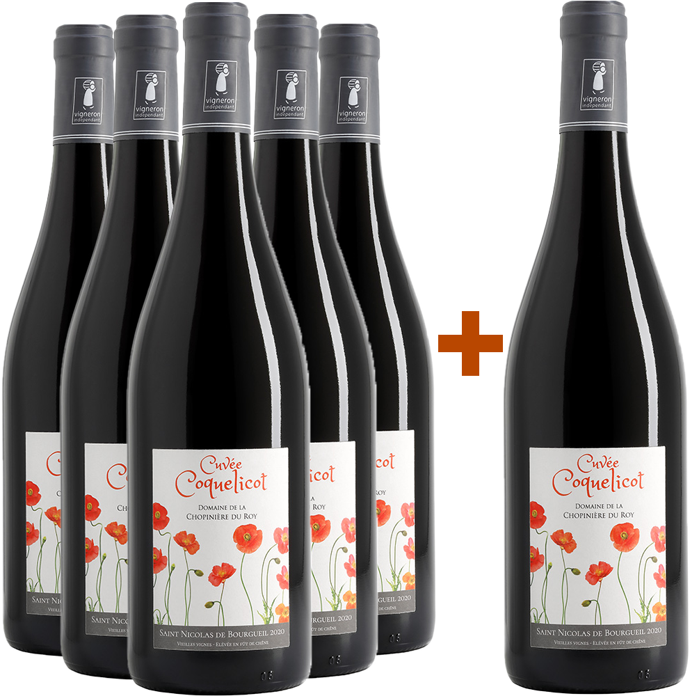 5+1 2024 Cuvée "Coquelicot" Saint Nicolas de Bourgueil AOP trocken