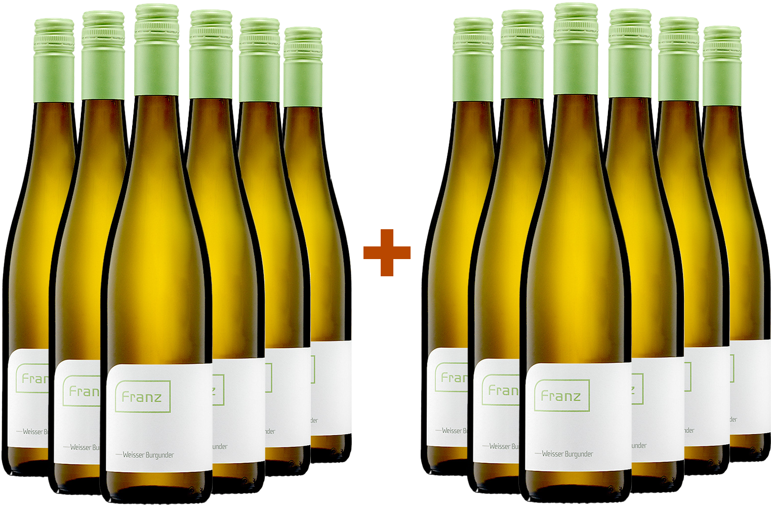 6+6 Paket 2024 Weißburgunder trocken BIO